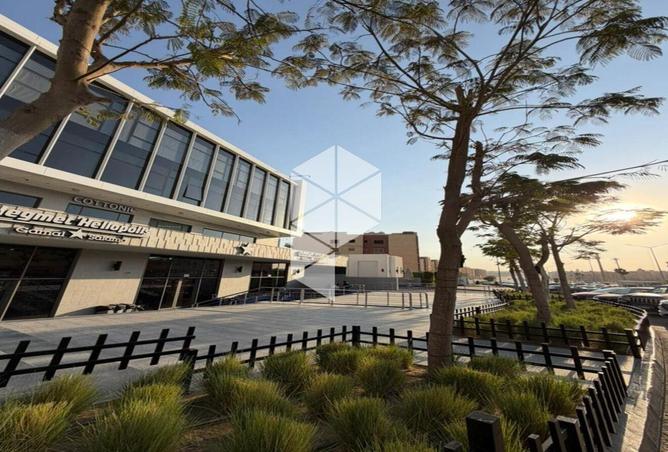 8593857 - Property Image 3