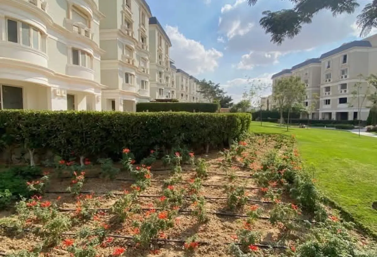 119851135 - Property Main Image