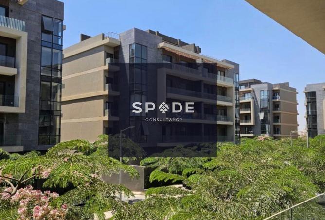 8569692 - Property Image 3