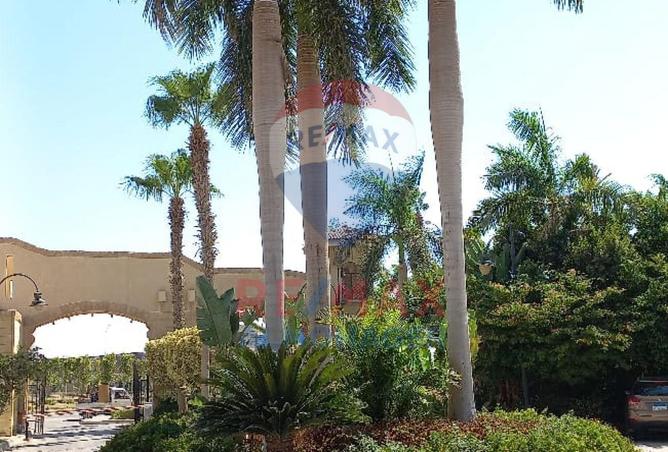 8591468 - صورة العقار 2