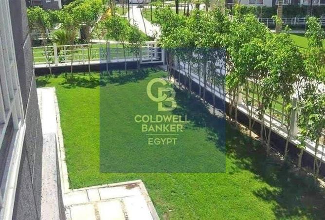 66684146 - Property Image 2