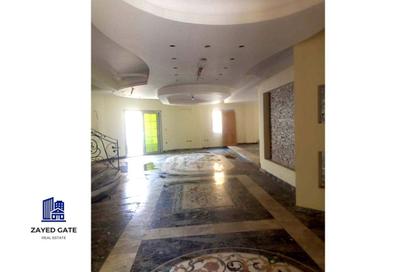 Villa - 7+ Bedrooms - 7 Bathrooms for sale in Yasmine District - 14th District - Sheikh Zayed City - Giza