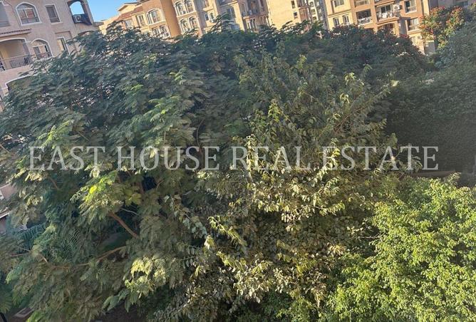 54242898 - Property Image 3