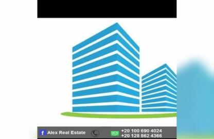 Office Space - 3 Bedrooms - 1 Bathroom for rent in Famous St. - Camp Chezar - Hay Wasat - Alexandria