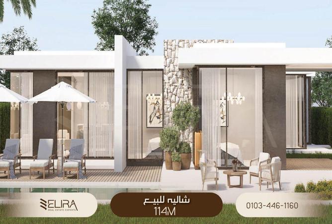 62646793 - صورة العقار 3