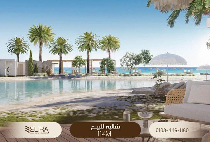 62646793 - صورة العقار 2