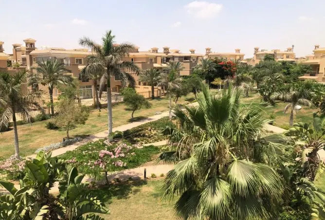 110735901 - صورة العقار 3