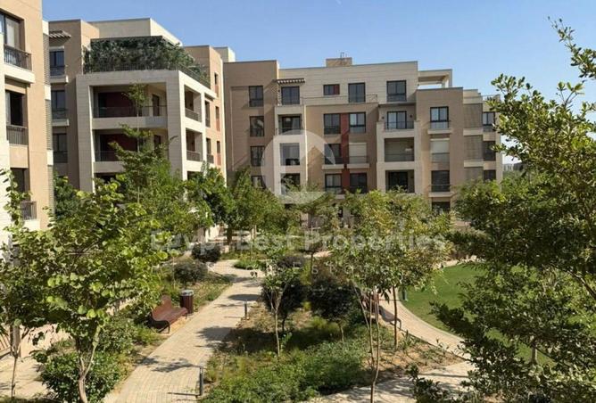 57748524 - Property Main Image