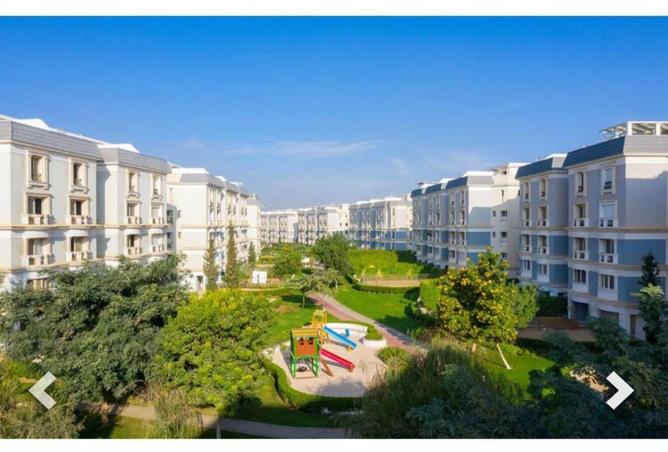 53725341 - Property Image 3