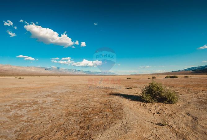 99790619 - Property Image 3