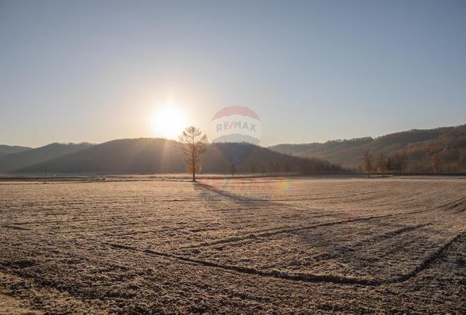 99790619 - Property Image 2