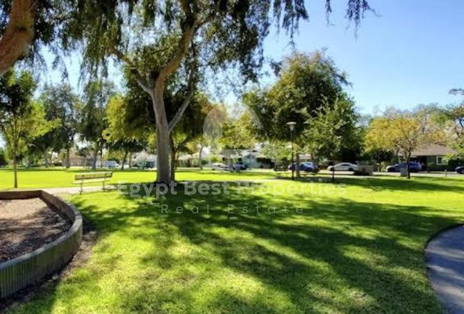 64393776 - صورة العقار 2