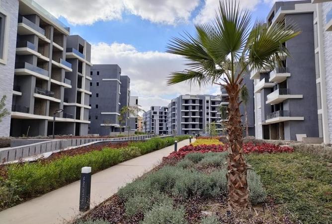 66958141 - صورة العقار 3