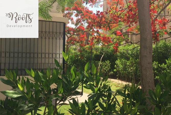 52191952 - Property Image 2