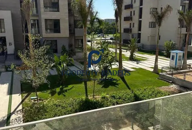 115719987 - Property Image 3