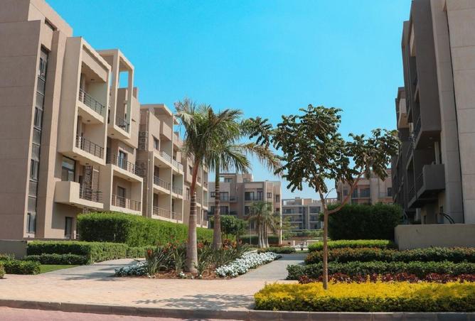 54235407 - Property Image 2