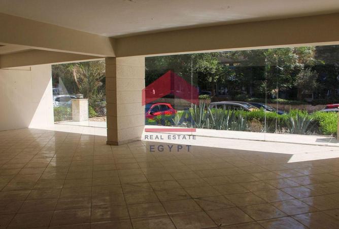 55499372 - Property Image 3