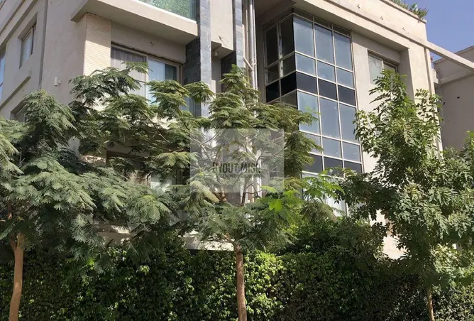 114898151 - صورة العقار 3