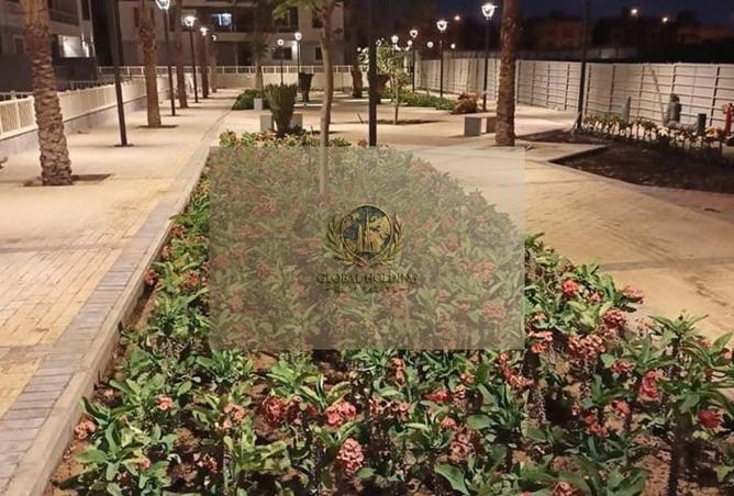 66705549 - صورة العقار 3