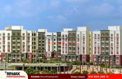 Apartment - 3 Bedrooms - 2 Bathrooms for sale in Alex West - Alexandria Compounds - Alexandria