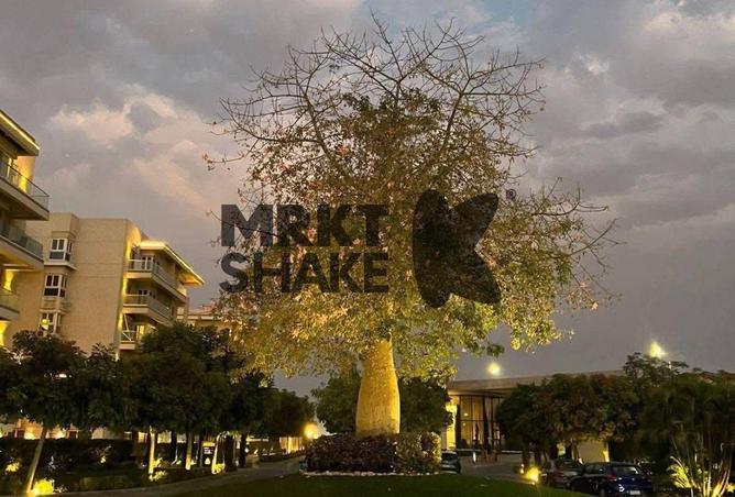 70628495 - Property Image 3