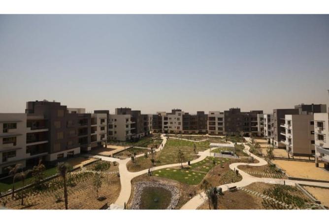 59501170 - صورة العقار 3