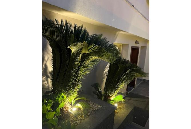 8414306 - صورة العقار 2