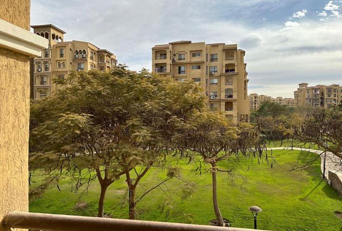 76775877 - Property Image 2