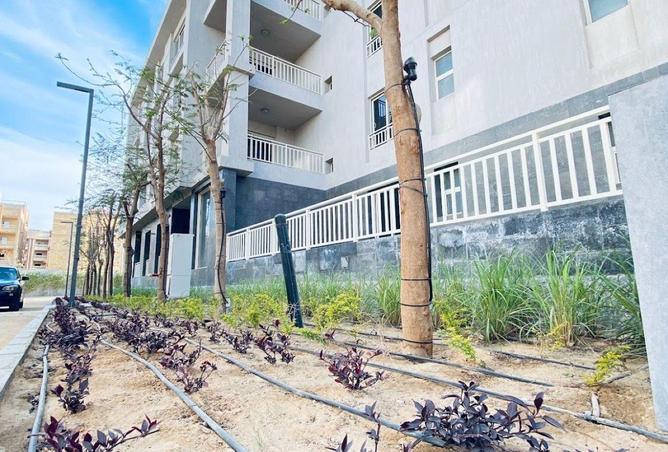 65917054 - Property Image 2