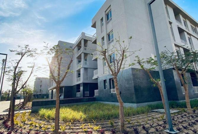 65917054 - Property Image 3