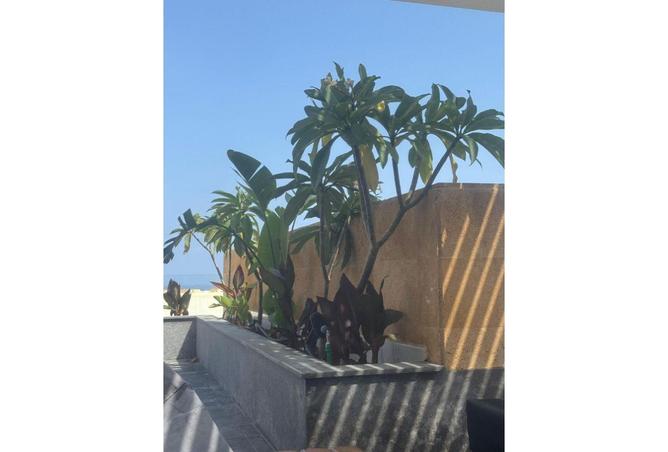 66435251 - صورة العقار 3