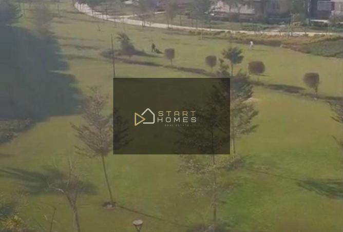 54238029 - Property Image 3