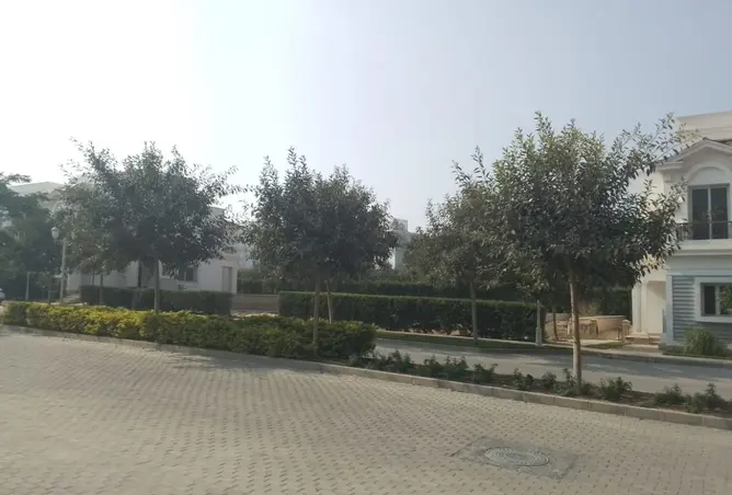 99110095 - Property Image 2
