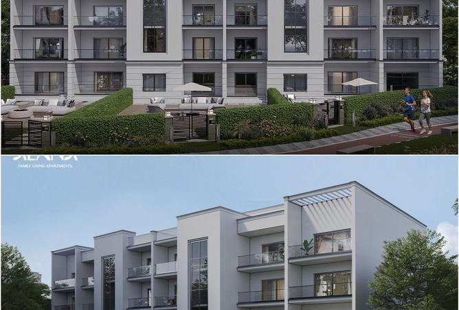 56240386 - Property Image 3