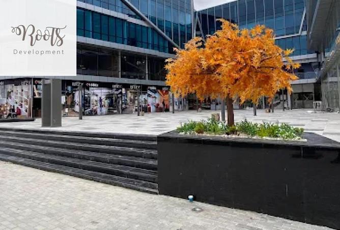 8621018 - Property Image 3