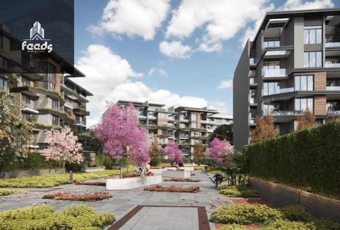 97427849 - Property Image 3