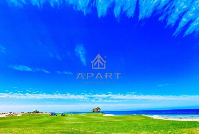 66168382 - Property Image 3