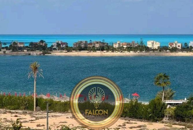 8609601 - Property Image 3