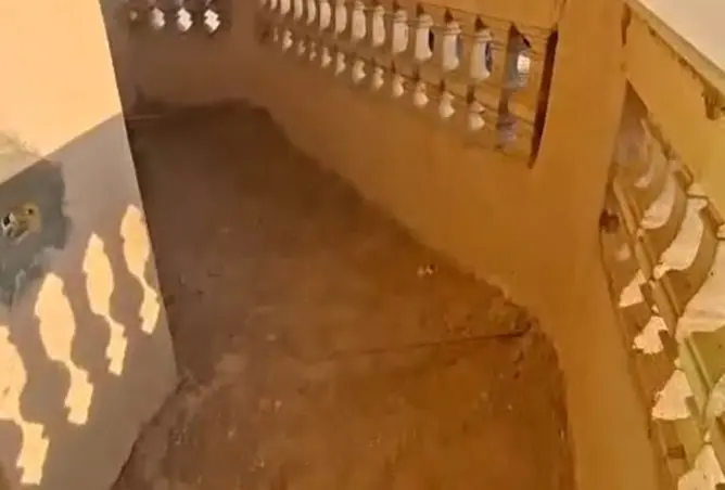 113541355 - صورة العقار 3