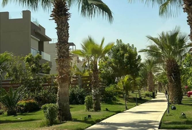 64394950 - صورة العقار 3