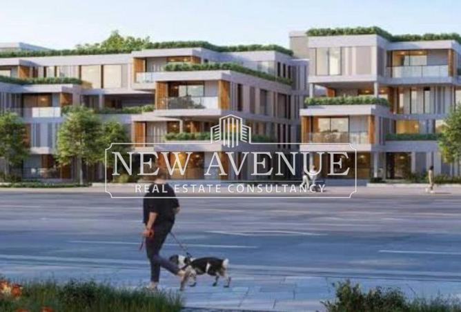 59243489 - Property Image 3