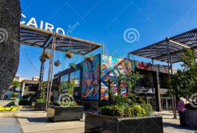 65915760 - Property Image 3