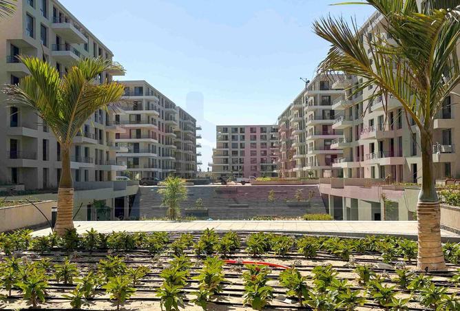 66699171 - Property Image 2