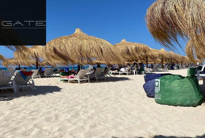 62884362 - صورة العقار 2