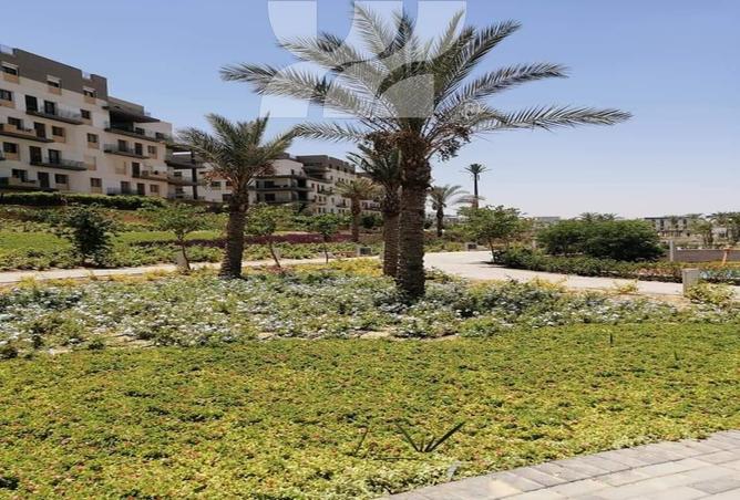 82608224 - صورة العقار 3