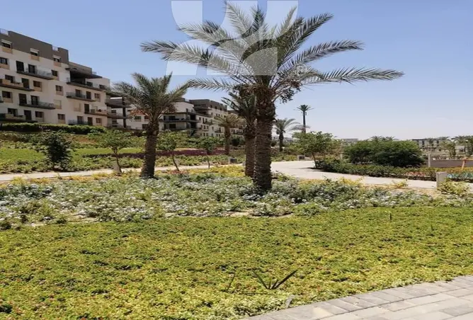 82608224 - صورة العقار 3