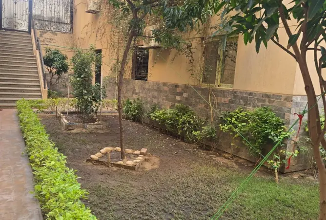 121137657 - Property Image 3