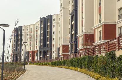 Apartment - 2 - 1 for sale in Alex West - Alexandria Compounds - Alexandria