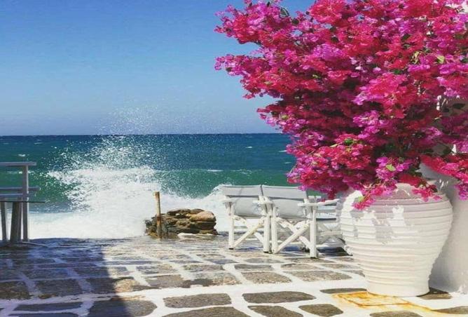 8553352 - صورة العقار 3