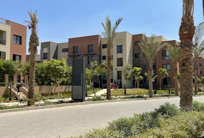 81316303 - صورة العقار 2
